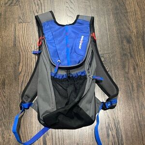 Swiss gear hydration pack